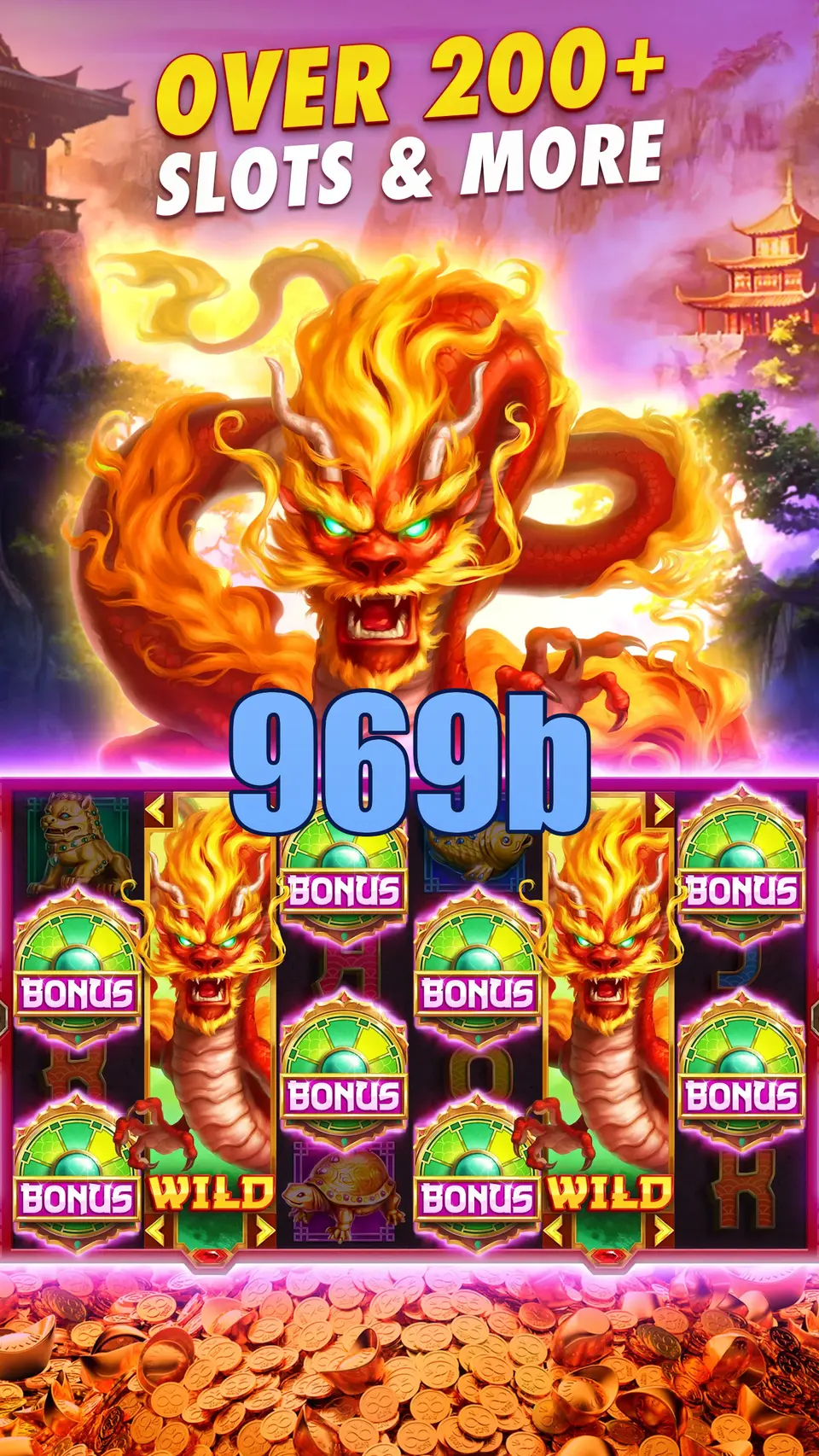 969b Login